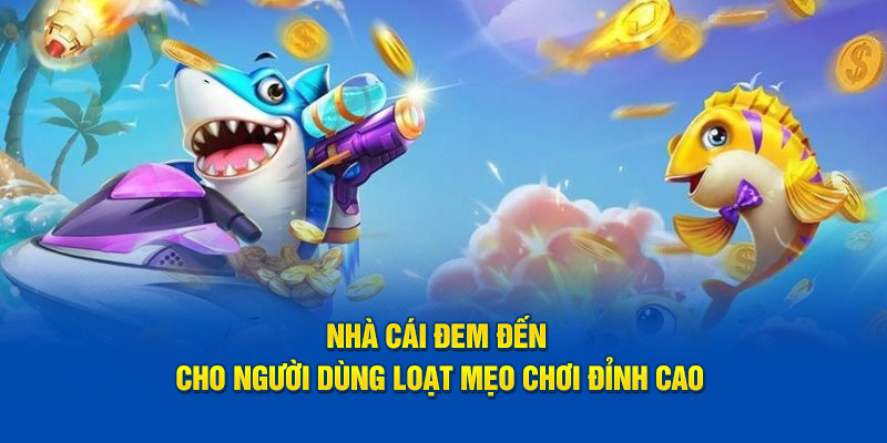 Nhà cái đem đến cho người dùng loạt mẹo chơi đỉnh cao